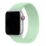 Nylonový řemínek pro Apple Watch 38 mm / 40 mm / 41 mm T896 mátově zelená