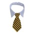 Obojek s kravatou 2