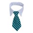Obojek s kravatou 3