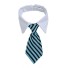 Obojek s kravatou 4