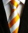Pánska kravata T1200 26