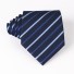 Pánska kravata T1203 20