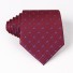 Pánska kravata T1203 23