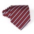 Pánská kravata T1203 6