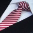 Pánská kravata T1208 8