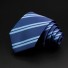 Pánska kravata T1211 21