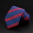 Pánska kravata T1211 6