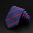 Pánska kravata T1211 7