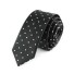 Pánská kravata T1216 6