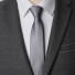 Pánská kravata T1221 šedá