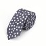 Pánská kravata T1228 10