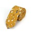 Pánska kravata T1228 1