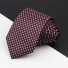 Pánska kravata T1232 5