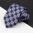 Pánská kravata T1232 6