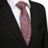 Pánská kravata T1236 10