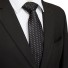 Pánska kravata T1236 16
