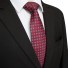 Pánska kravata T1236 19