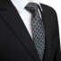 Pánska kravata T1236 1
