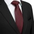 Pánska kravata T1236 21