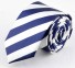 Pánska kravata T1241 6