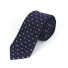 Pánská kravata T1242 1