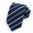 Pánska kravata T1251 8