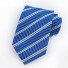 Pánska kravata T1251 9