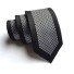 Pánska kravata T1263 12