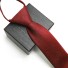 Pánská kravata T1277 10