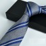 Pánská kravata T1293 24
