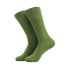 Pánské jednobarevné ponožky zelená
