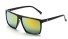 Pánské sluneční brýle E2070 5