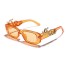 Pánské sluneční brýle E2256 4
