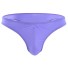 Pánské tanga plavky F1028 fialová