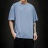 Pánske tričko T2028 svetlo modrá
