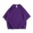 Pánské tričko T2100 fialová