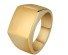 Pánsky prsteň vlastný motív J2227 zlatá