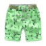 Pantaloni scurți pentru băieți cu imprimeuri J2533 verde