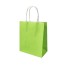 Papierová darčeková taška 10 ks zelená