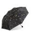 Regenschirm T1387 schwarz