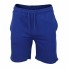 Robbie Herren-Shorts blau