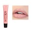 Schimmernder Lipgloss 2