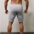 Shorts für Herren Hans grau