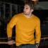Sweter męski F218 żółty