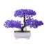 Sztuczne bonsai C477 ciemny fiolet