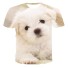 T-Shirt T2361 2