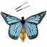 Tanečné motýlie krídla pre deti 3