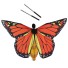 Tanečné motýlie krídla pre dospelých 4