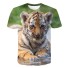 Tricou pentru copii cu animal J