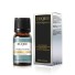 Ulei parfumat premium pentru difuzor Ulei esențial natural Săpun sau ulei de baie cu aromă naturală 10 ml Forest Pine